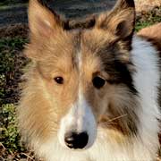 �����F�S�[��