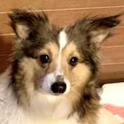 �����F���ڂ�